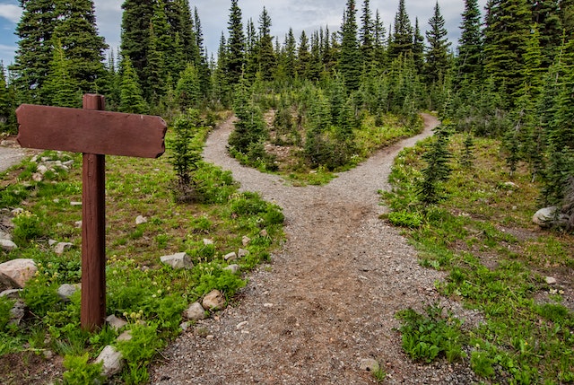 Et les mages repartirent par un autre chemin